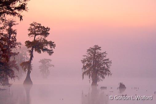 Foggy Lake Martin Dawn_26512-14.jpg - Photographed in the Cypress Island Preserve near Breaux Bridge, Louisiana, USA.